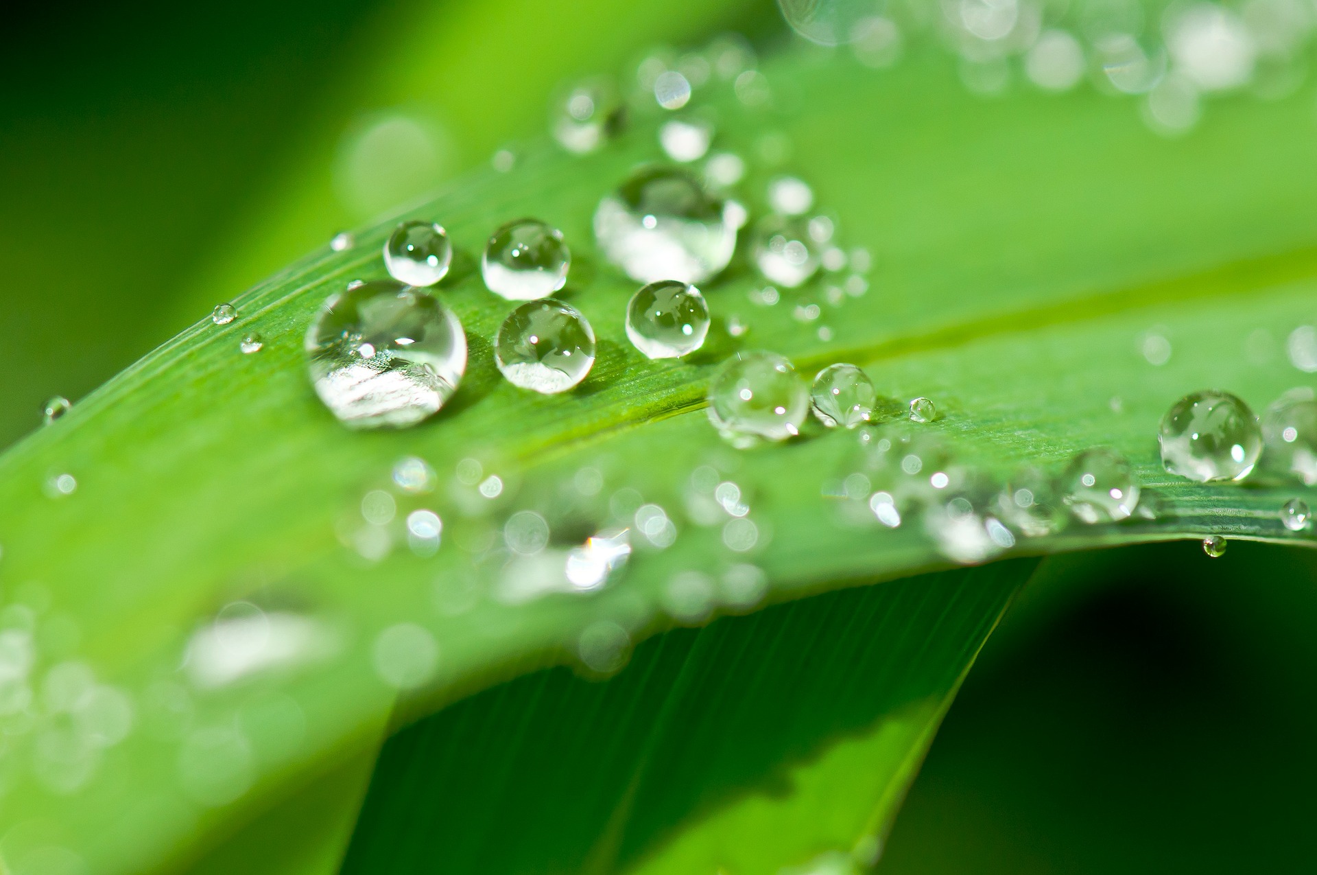 drip-339940_1920 drip-339940_1920